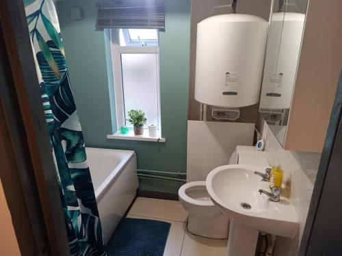 a bathroom with a sink and a toilet and a window at Cosy Garden Flat near Bay & City Centre - Fast Wifi, 5 mins to centre in Cardiff
