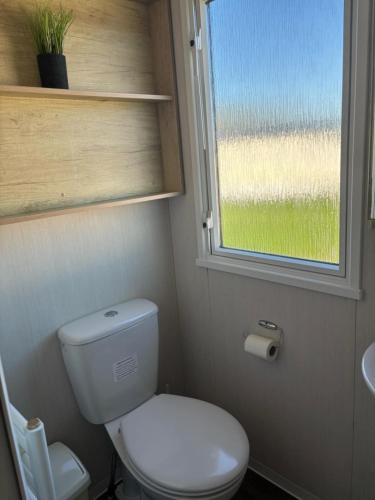 a small bathroom with a toilet and a window at Two bedroom Holiday Home with countryside view in St Austell