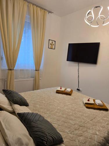 a bedroom with a large bed with a flat screen tv at Apartman Marjanović Palić in Palić