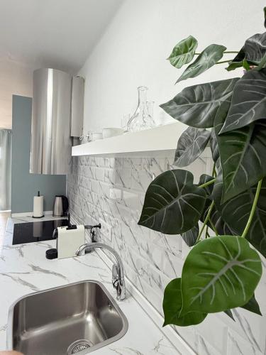 a kitchen with a sink and a plant at Al Sole Studios residence Playa Roca in Costa Teguise