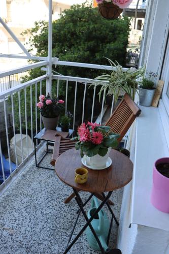 a balcony with a table and potted plants on it at Pampas Family Apartment in Dobrota