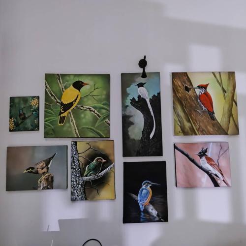 a bunch of pictures of birds on a wall at A tropical paradise; stunning house, pool, garden in Wattala