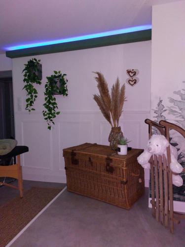 a room with a wicker chest with a stuffed animal and plants at La Petite Bohème, sauna in Lorquin