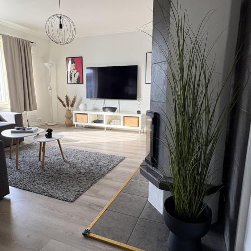 a living room with a fireplace and a tv at Sikvägen Apartments in Mariehamn