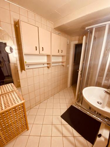 a small bathroom with a sink and a shower at Ferienhaus Lichtblick in Kurort Gohrisch