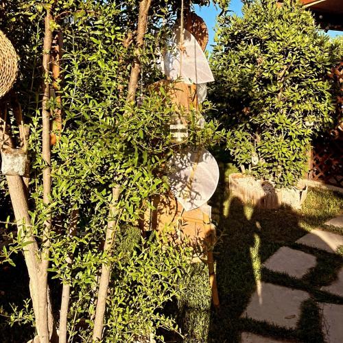 Jardín al aire libre en Masseria li Vecchi