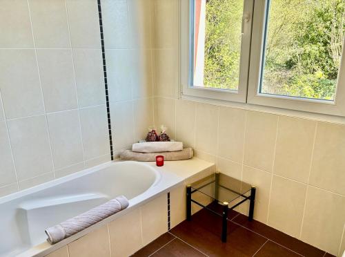 une salle de bain avec une baignoire et une fenêtre dans l'établissement Spacieux appartement de deux chambres, à Mulhouse