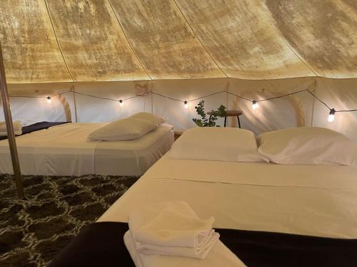 two beds in a room with a tent at Cozumel Glamping in Cozumel