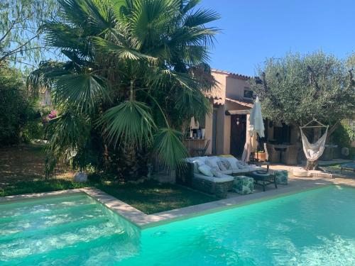 une maison avec un palmier et une piscine dans l'établissement Villa golfe de St Tropez, à Cogolin