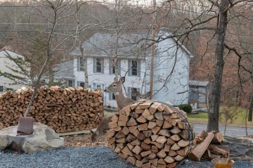 a deer standing next to a pile of wood at Modern Retreat Poconos 3BR Fire Pit Skiing in East Stroudsburg