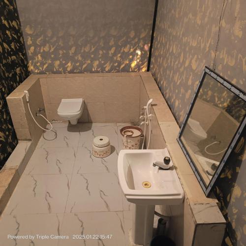 a bathroom with a sink and a toilet at Brook Ville in Sasan Gir