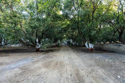 a dirt road with trees on the sides of it at Brook Ville in Sasan Gir
