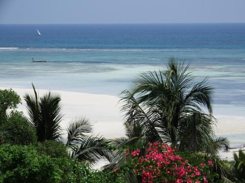 Gallery image of Zan View Hotel in Kiwengwa
