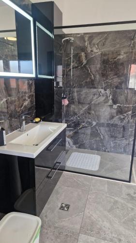 a bathroom with a sink and a shower at Villa Dona Bella in Donji Bitelić