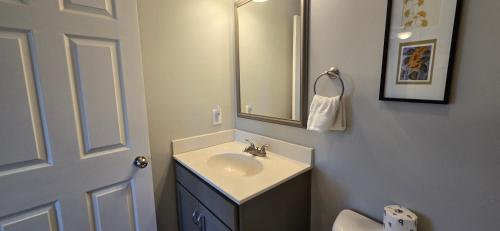 a bathroom with a sink and a mirror and a toilet at The Hideaway House- 3 bedroom with Hot Tub, Fenced Yard, Lake Access in Swanton