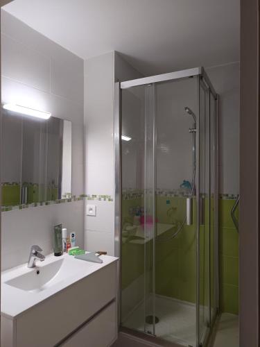 une salle de bain avec une douche en verre et un lavabo dans l'établissement 4- rooms appartement in Nice parking F4, à Nice