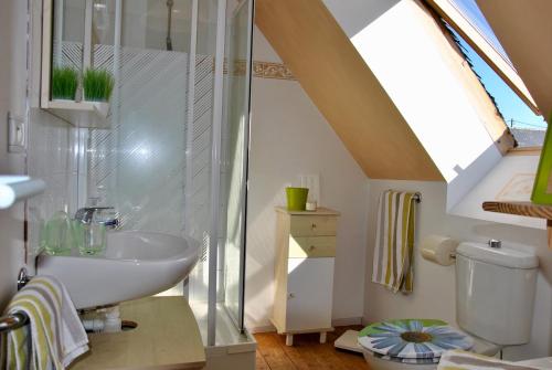 une salle de bain avec un lavabo, une douche et des toilettes dans l'établissement Travel Breizh - Vivez l'authenticité, à Pont-Aven