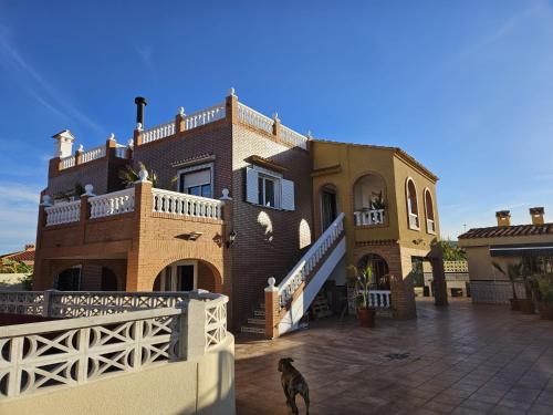 Vive la playa a lo grande!!!