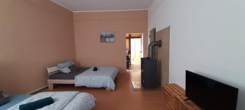 a living room with a bed and a flat screen tv at Beautiful apartment for 5-7 guests in Zeitz