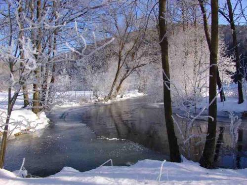 a stream in the snow with trees in the background at Kräuterpension Säumerpfad in Mauth