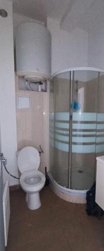 une salle de bain avec toilettes et douche en verre dans l'établissement Le bizus, à Villiers-le-Bel