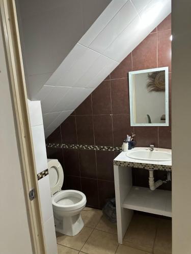 a bathroom with a sink and a toilet and a mirror at Casa en Acapulco los tulipanes in Acapulco