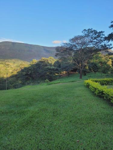 a large green field with a tree in the background at Sitio Bárbara in Brumadinho