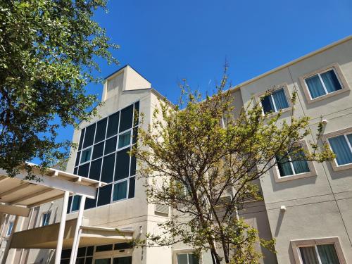 a building with a tree in front of it at Baymont by Wyndham San Antonio Airport in San Antonio