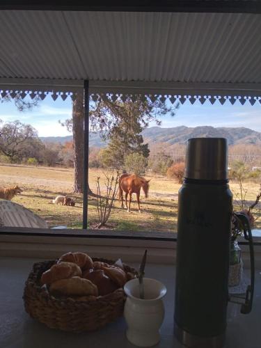a table with a basket of bread and a horse outside a window at Ntra Sra de los Angeles in Salta