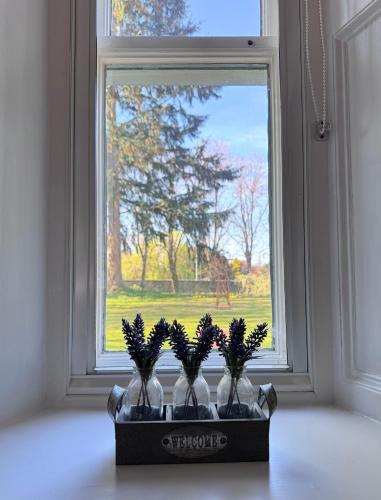 a group of vases sitting in front of a window at 19th century 5-bedroom villa with free private parking in Elgin