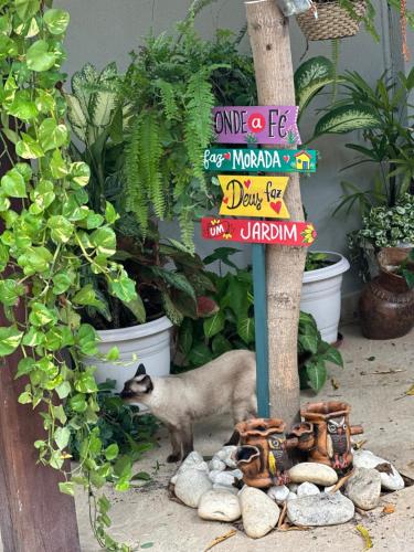 a cat standing next to a sign in a garden at Aconhego Dourado I Alugue casa com piscina a 17min da praia in Parnaíba