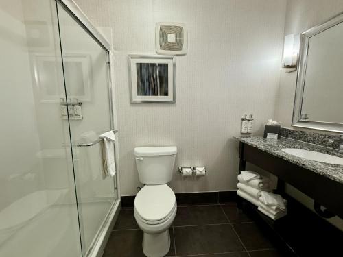 a bathroom with a toilet and a shower and a sink at Holiday Inn Carlsbad/San Diego by IHG in Carlsbad