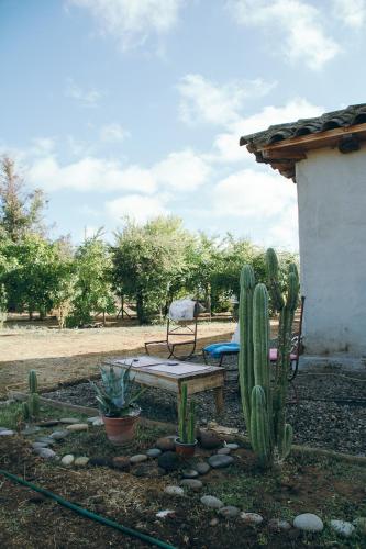 Un jardín fuera de Casona La Masia, Pelarco
