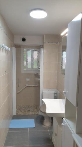 Saint-Vincent-de-PaulにあるGrand T3 rénové - Calme Jardin Parking Wifi proche DAXのトイレ、洗面台、シャワー付きのバスルーム