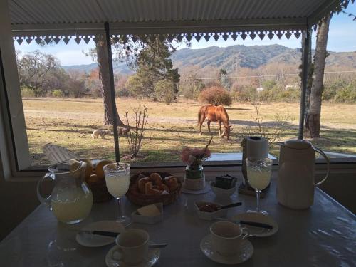 a table with a horse grazing in a field at Ntra Sra de los Angeles in Salta