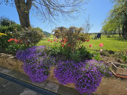 Κήπος έξω από το Évasion paisible en Touraine, gîte authentique avec jardin clos, proche forêt, idéal famille et amis - FR-1-381-321