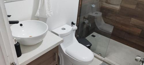 a bathroom with a toilet and a sink and a shower at Villa Rios in Talamanca