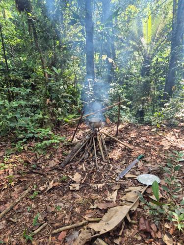 Landskap semula jadi dekat dengan rumah tamu ini