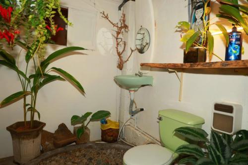 a bathroom with a toilet and a sink and plants at PBrooms in Mui Ne