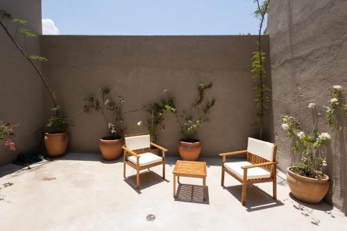 Fotografie z fotogalerie ubytování Lepetit v destinaci Oaxaca