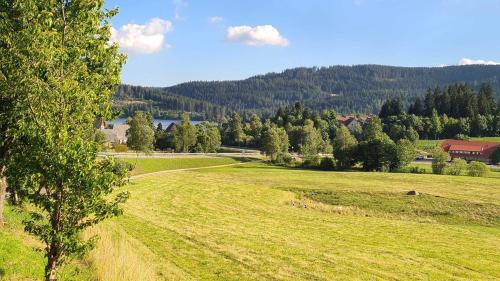 a field of grass with a tree in the foreground at House of Happiness by apartmentglück in Schluchsee
