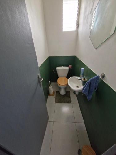 a green and white bathroom with a toilet and a sink at Chambres d'hôtes dans Villa à Chateauboeuf in Fort-de-France