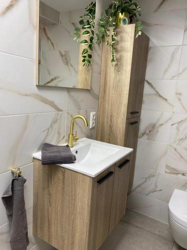 a bathroom with a sink and a mirror at benbmeestervankampen in Oosterwolde
