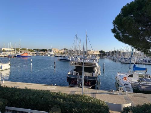 Appartement 2 Pièces avec Terrasse et Parking à 50m Plage - Port Camargue - FR-1-731-136