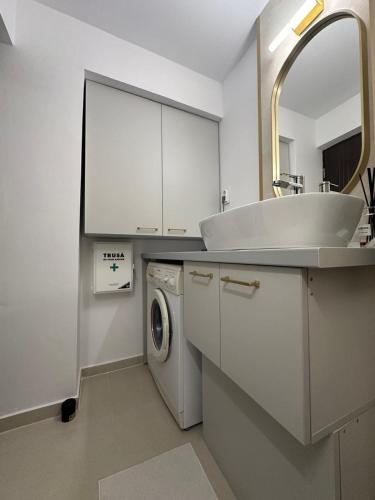 a bathroom with a sink and a washing machine at Biverse Prestige in Petrila