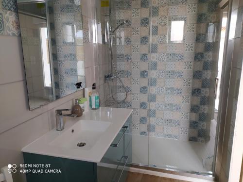 une salle de bain avec un lavabo et une douche dans l'établissement Gite Chambre Cuisine Parking à St Georges d'Oléron, à Saint-Georges-dʼOléron