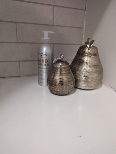 a bottle of hand soap and two balls on a counter at Cozy Bed and Breakfast Studio Ladyville Airport BELIZE CITY in Ladyville