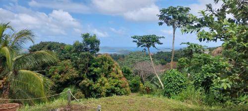 Un paisaje natural cerca del departamento