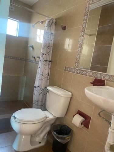 a bathroom with a toilet and a sink at Casa 12 Reales in Guanajuato