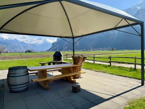 a picnic table under a tent with a grill at Fewo 'Alpegärtli' BeO Apartments in Unterbach
